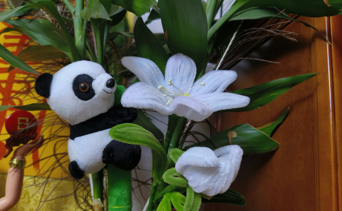 雪儿🎤V娱热点