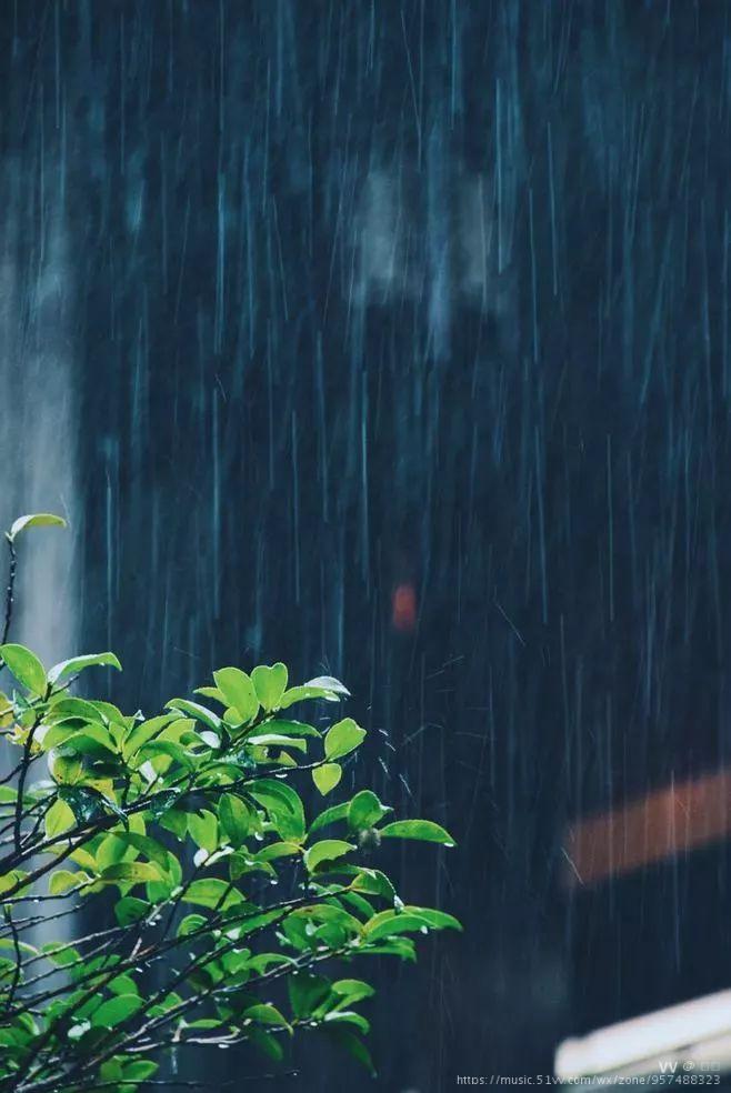 夜晚毛毛雨图片图片