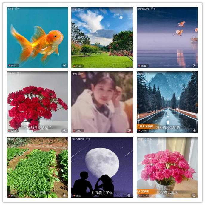 听云🎤V娱热点