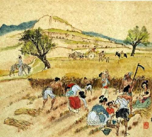 观刈麦唐白居易