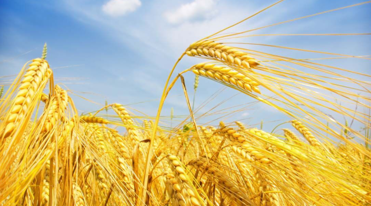 雪儿🎤V娱热点