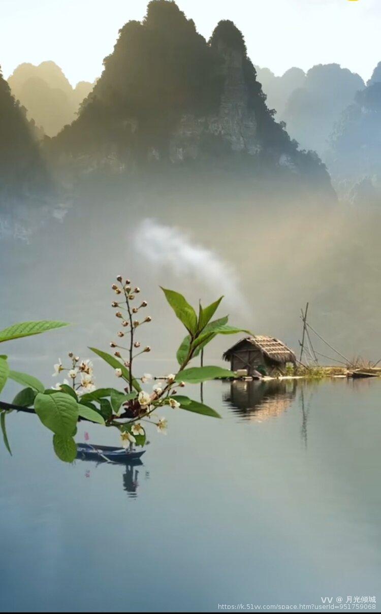 月光倾城