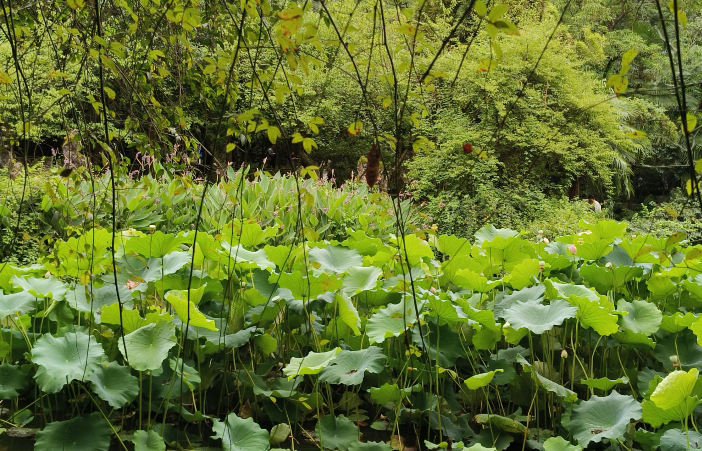 雪儿🎤V娱热点