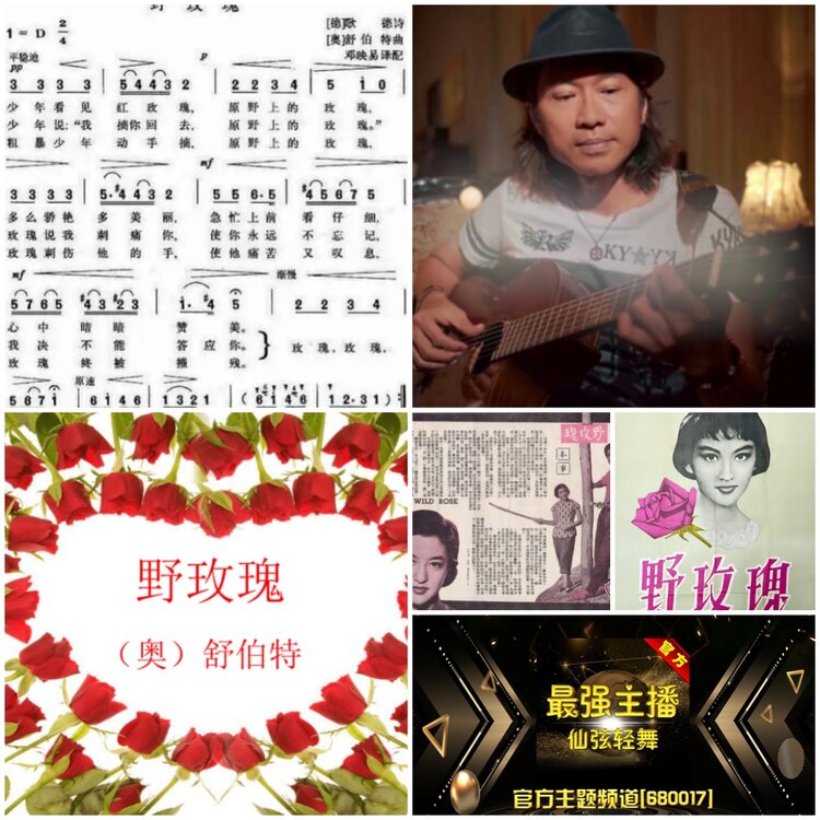 无言🎤V娱热点