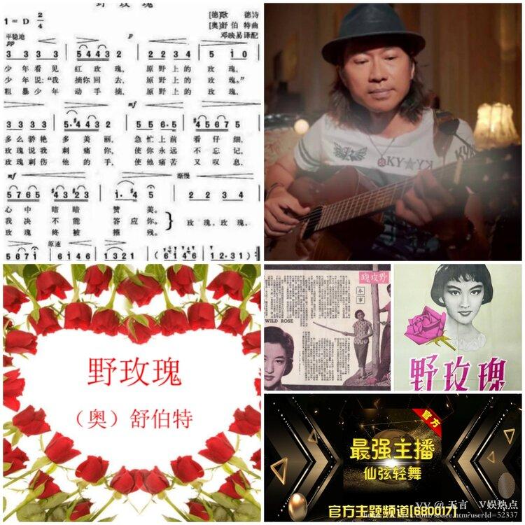 无言🎤V娱热点