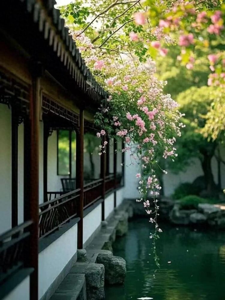 小浅🎤V娱热点