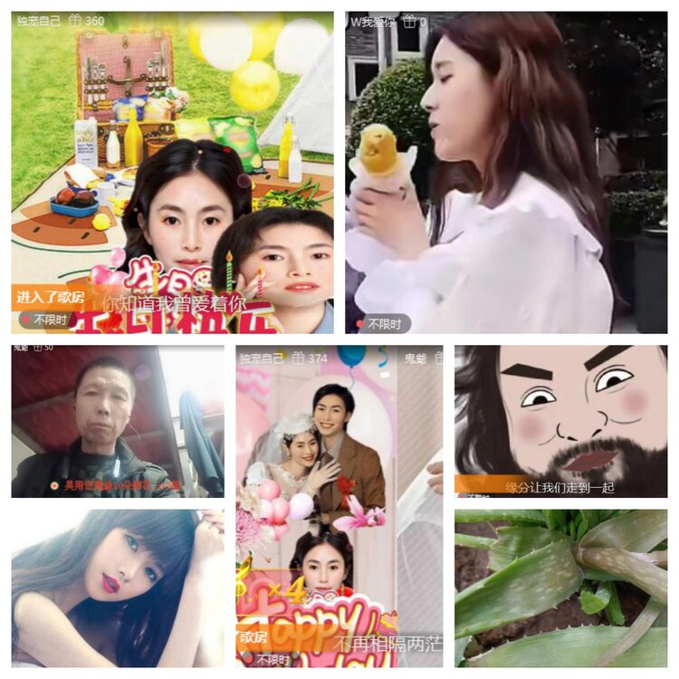 海燕🎤V娱热点