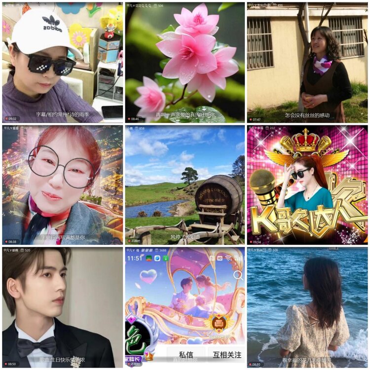 海燕🎤V娱热点