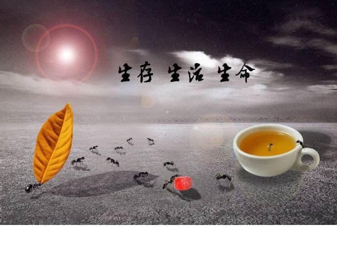 人生的意义与价值