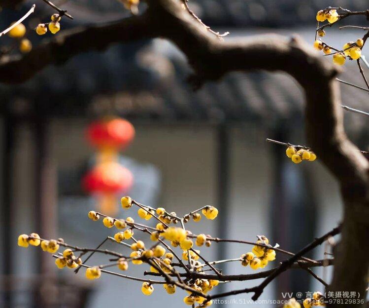 言午（美摄视界）