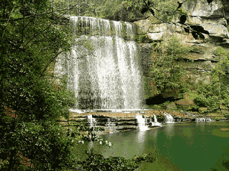 321_240gif 动态图 动图