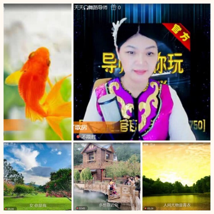 落雪🎤V娱热点