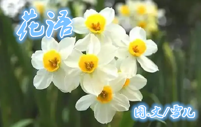 雪儿🎤V娱热点