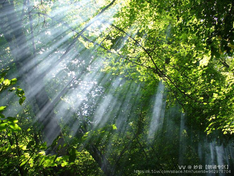 妙音【朗诵专区】