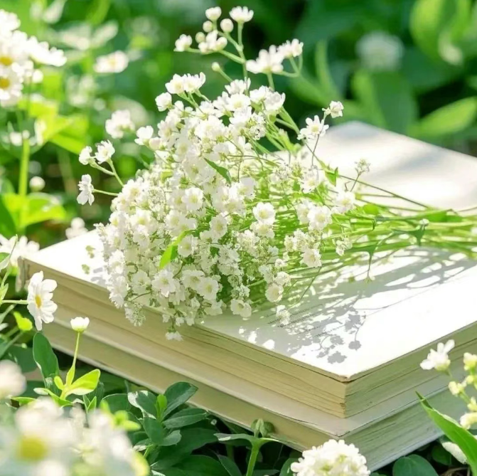 小浅🎤V娱热点