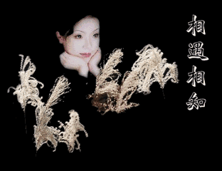 张华