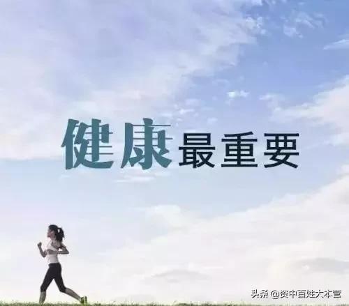 苦丁茶