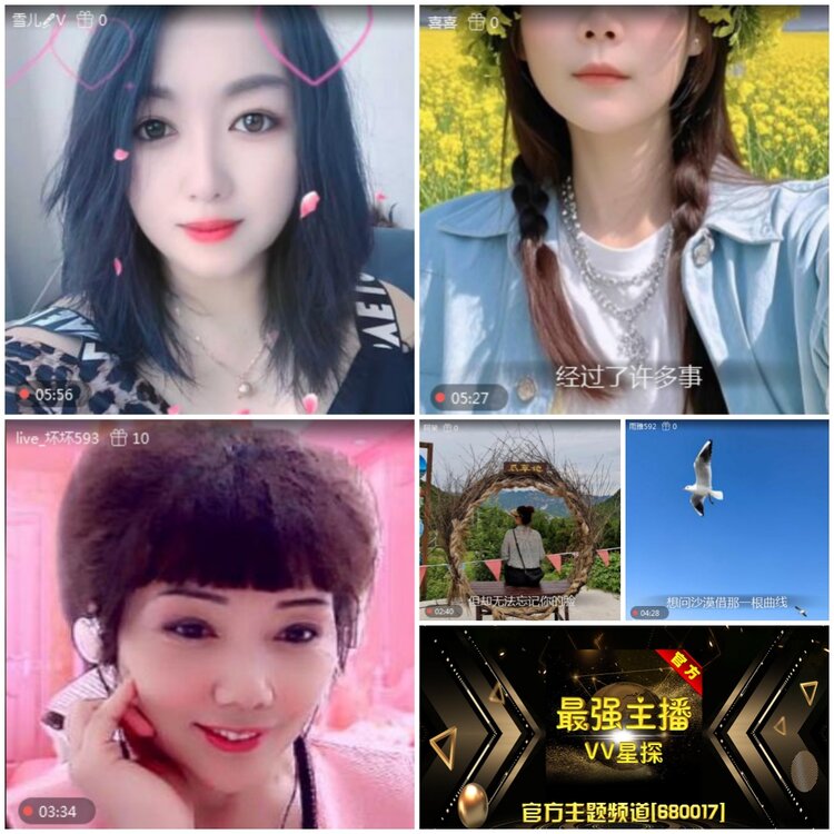 无言🎤V娱热点