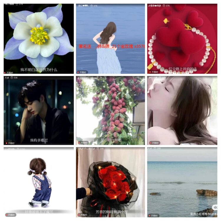 航航🎤V娱热点