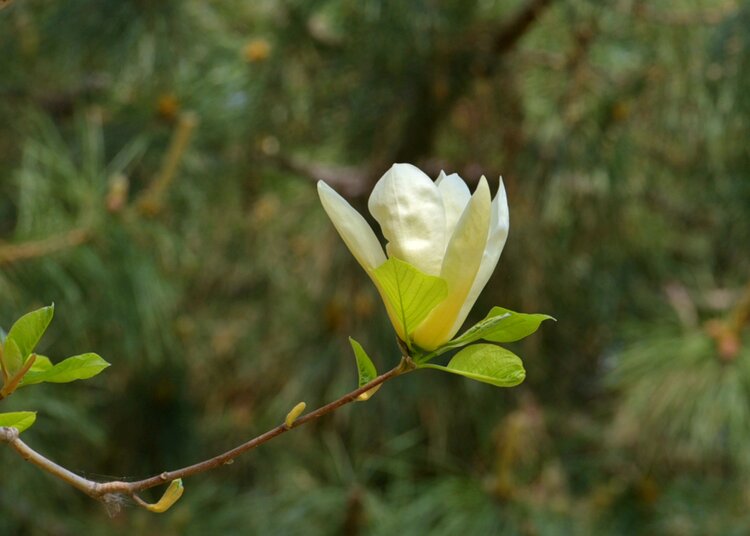 北京黄爷【美摄视界】