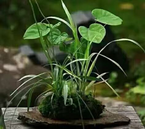 曾经🎤V娱热点