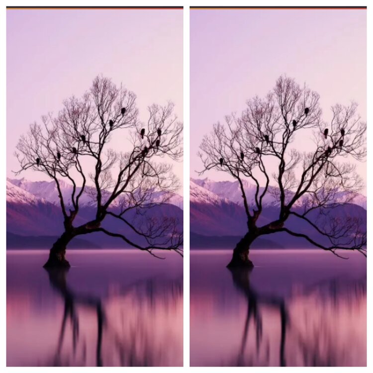 小六🎤V娱热点