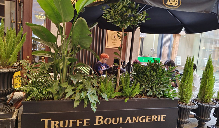 雪儿🎤V娱热点