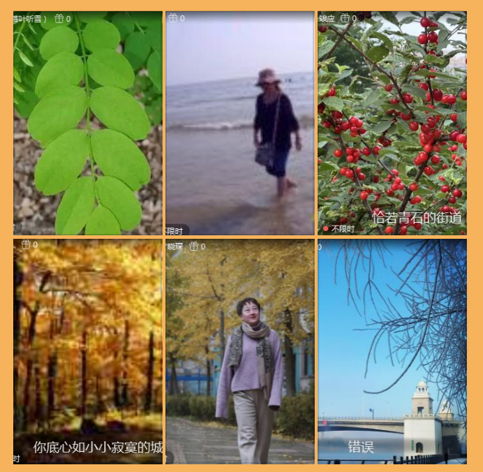 执白🎤V娱热点