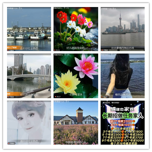 淡然🎤V娱热点