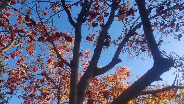 雪儿🎤V娱热点