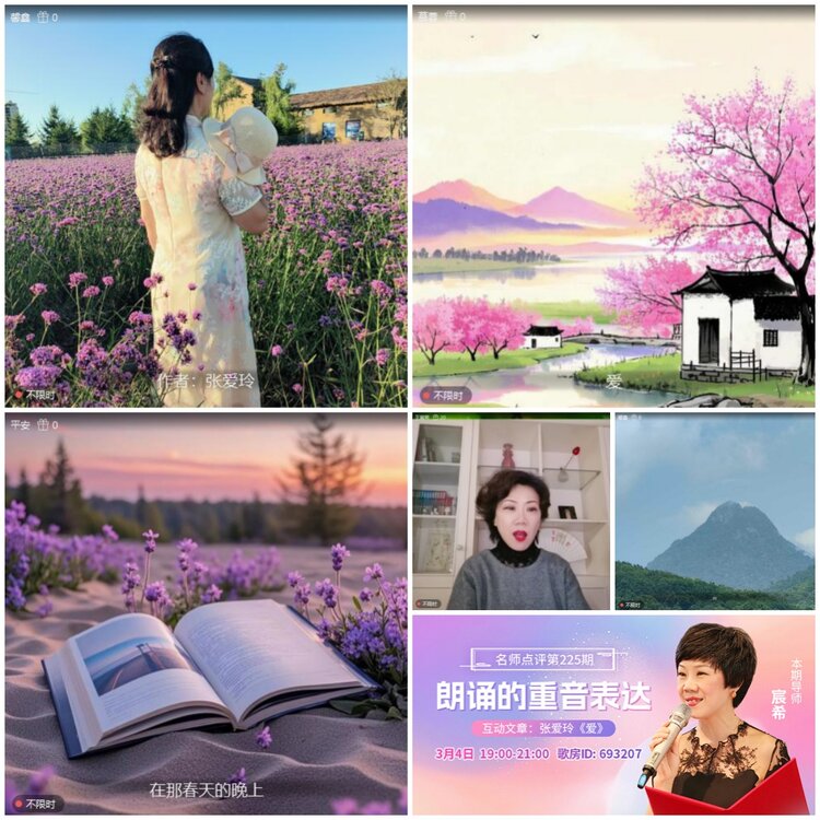 无言🎤V娱热点