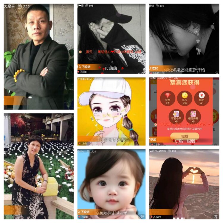 海燕🎤V娱热点