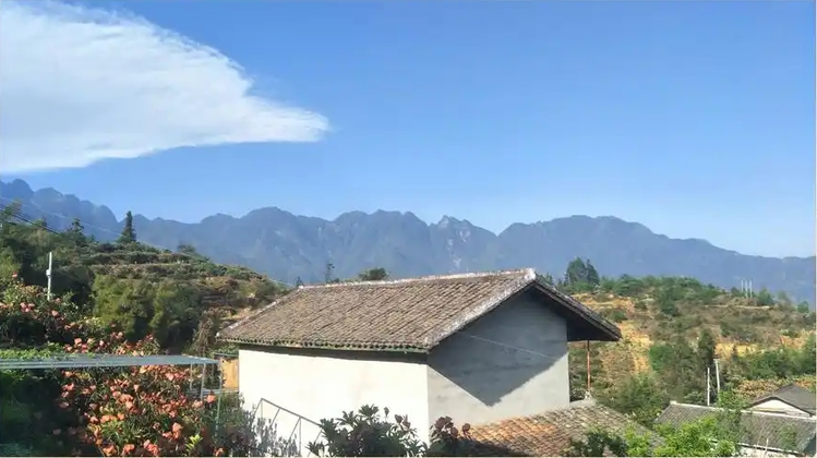 向日葵🎤V娱热点