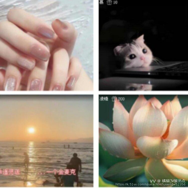 橘猫🎤V娱热点