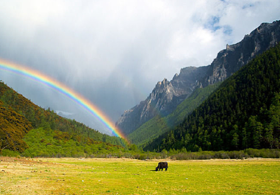 海燕🎤V娱热点