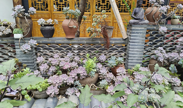 雪儿🎤V娱热点