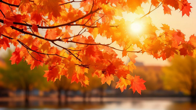 雪儿🎤V娱热点