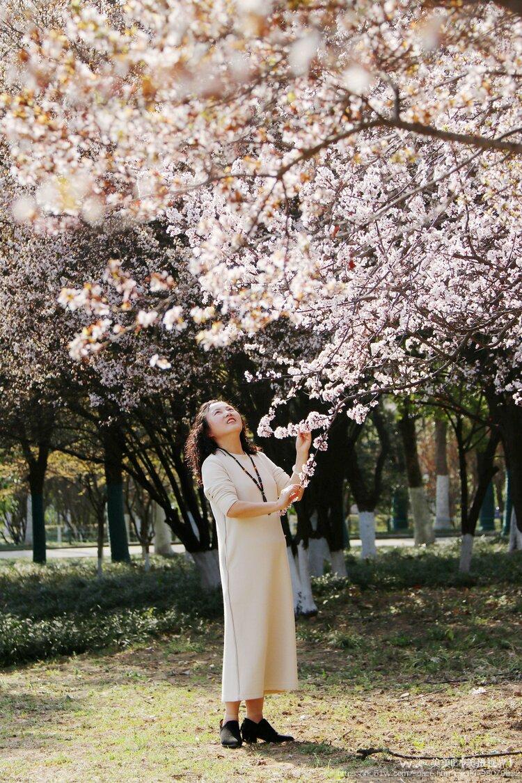 美美🍃【美摄视界】