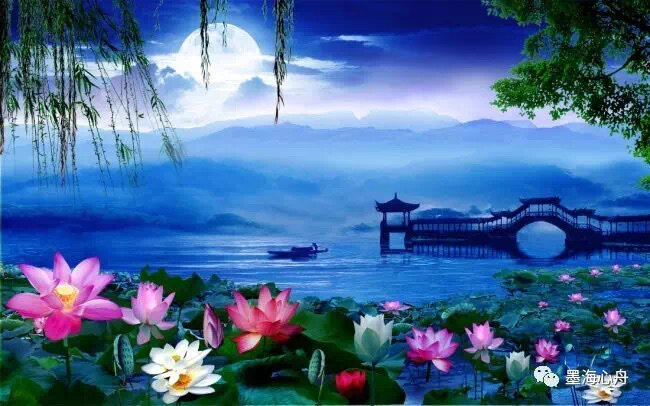 月光下的思念 作者:月亮