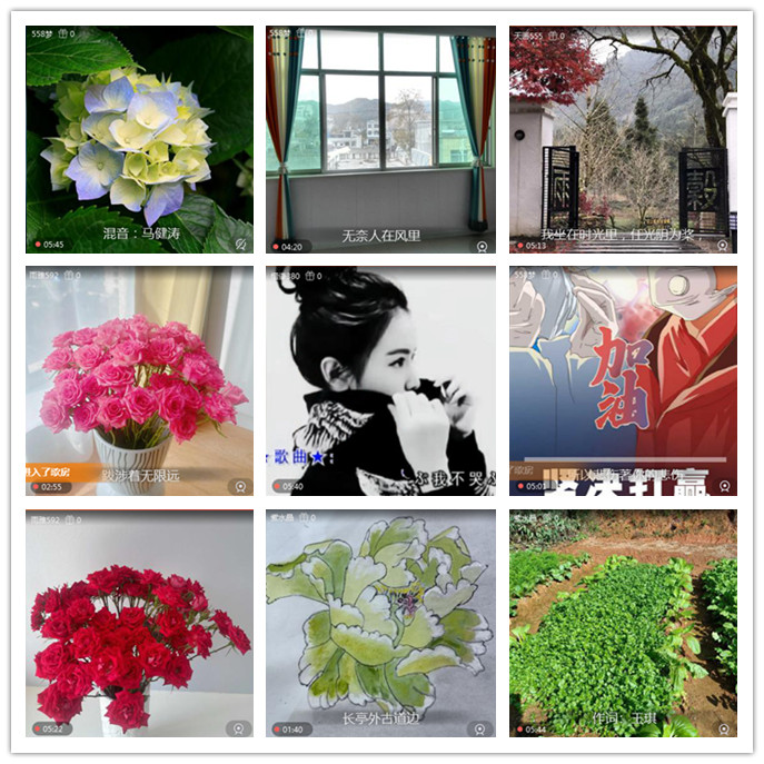 听云🎤V娱热点