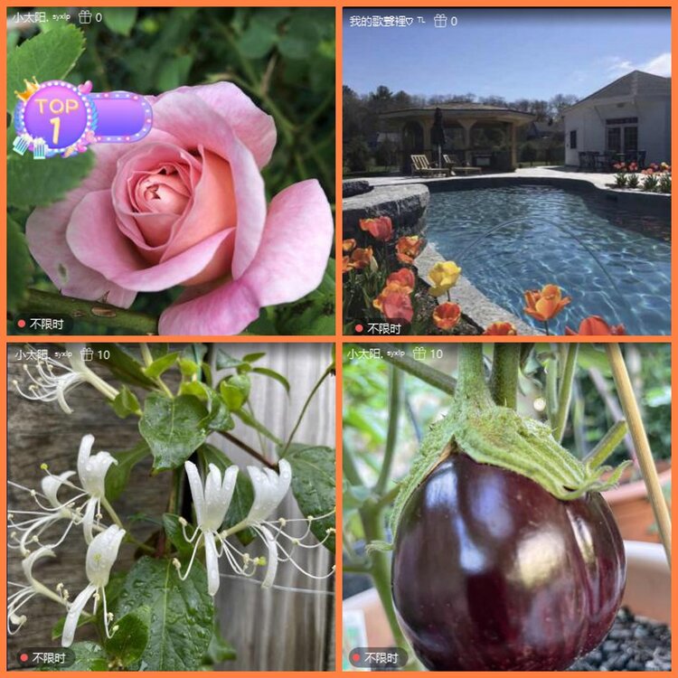 安然🎤V娱热点