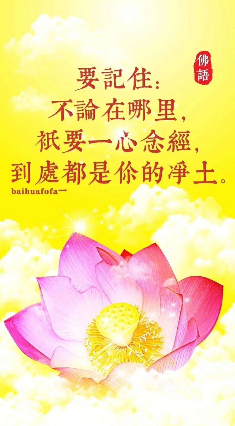 安于清净素雅