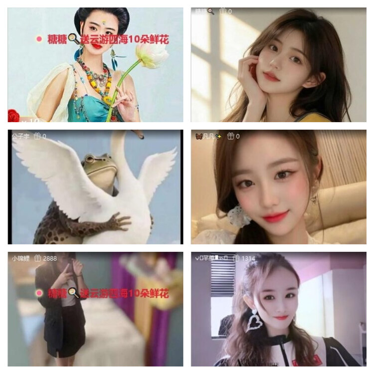 风景🎤V娱热点