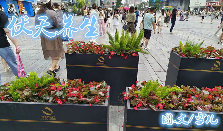 雪儿🎤V娱热点