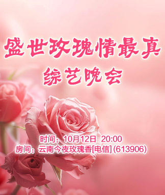 岚岚🎻V娱热点