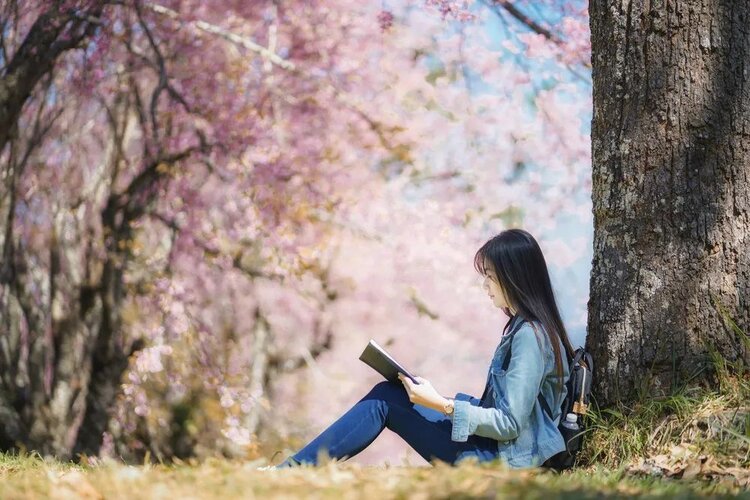 小浅🎤V娱热点