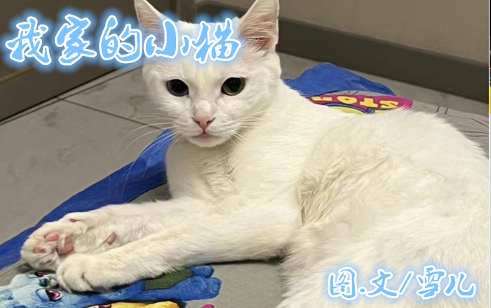 雪儿🎤V娱热点