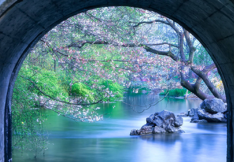 曾经🎤V娱热点