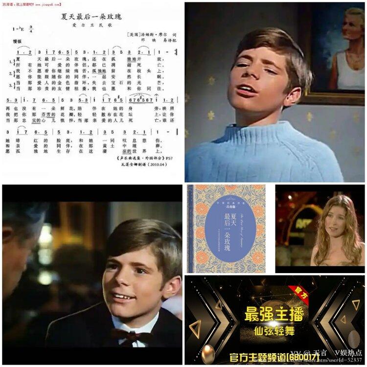 无言🎤V娱热点