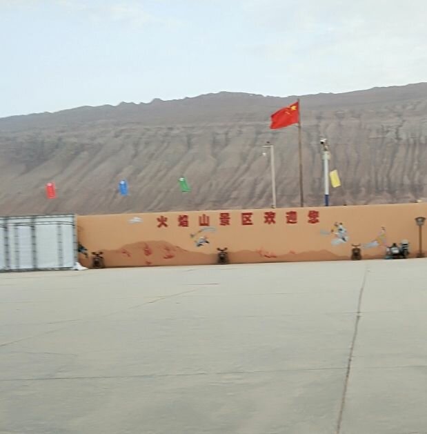 振华
